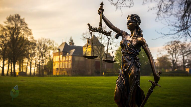 maxseelen-omgevingsrecht-omgevingswet-vergunningvrij-bouwen-omgevingsvergunning-1